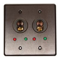 Key-Switch-Interchangeable-Core-Double-Gang-Faceplate-double-switch